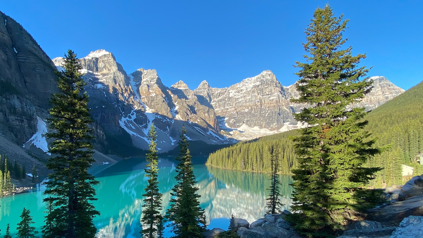 Moraine Lake Closed To Personal Vehicles