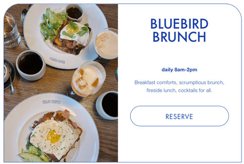 Banff Bluebird Brunch