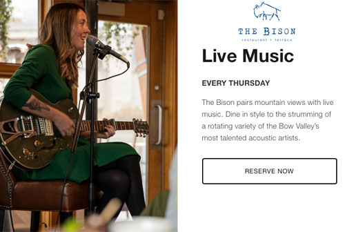 The Bison Live Music Every Thursday