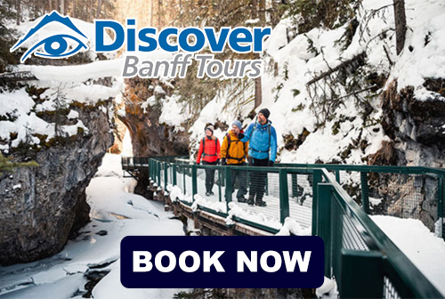 Banff Tour anhttps://banff.com/ads/dbt-winter-tour-and-icewalk-23/