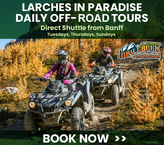 Banff ATV Larch Tours