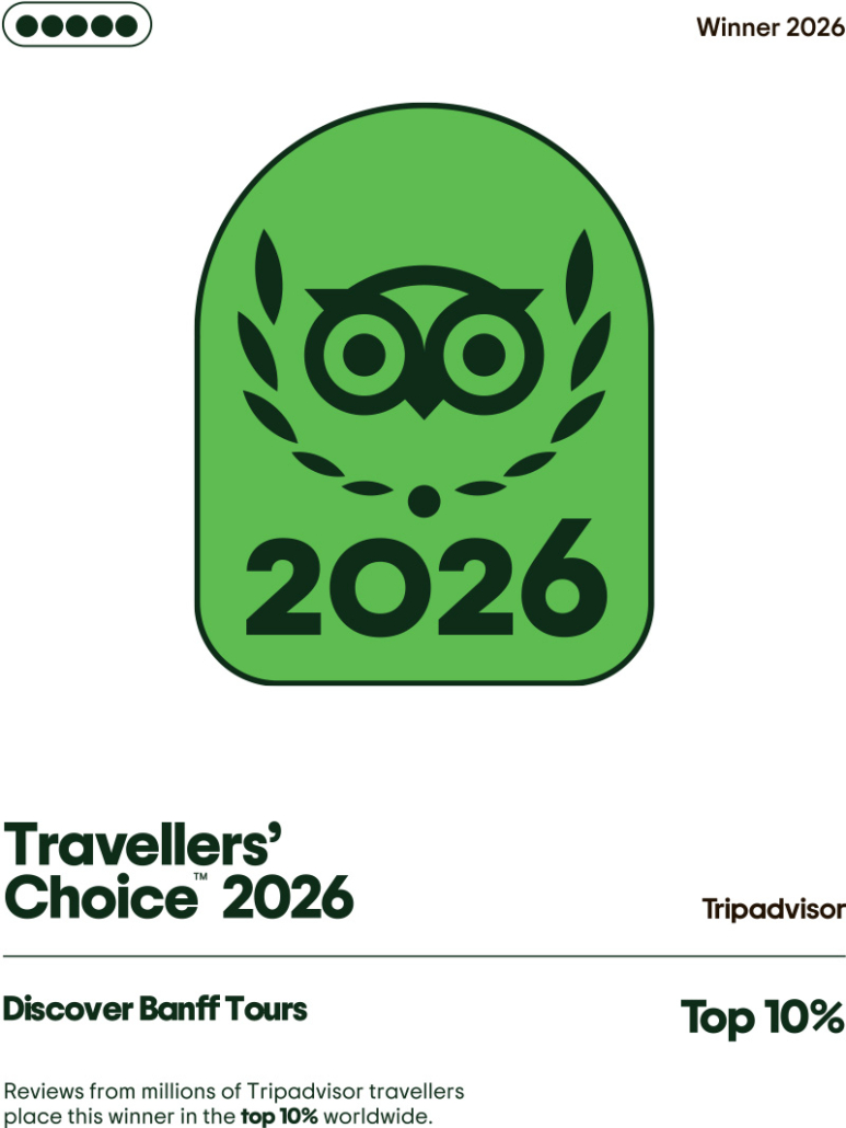 Discover Banff Tours Trip Advisor Award
